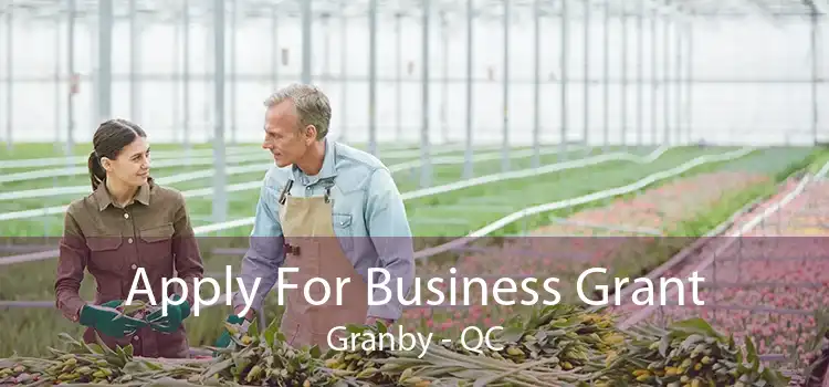 Apply For Business Grant Granby - QC